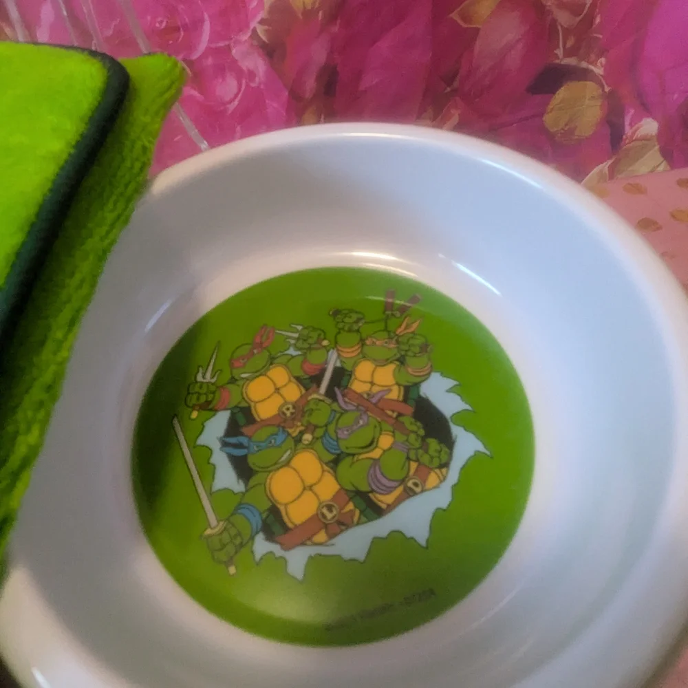 Nickelodeon Green Dog Bowl with Ninja Turtles Design